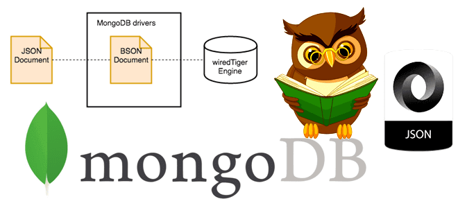 Преимущества хранения данных в MongoDB и его уникальные особенности для эффективной работы с базами данных